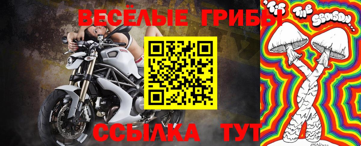 Псилоцибиновые грибы ЛСД  Вход с VPN  Лесосибирск 